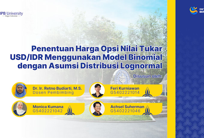 professional consultant standard business decks